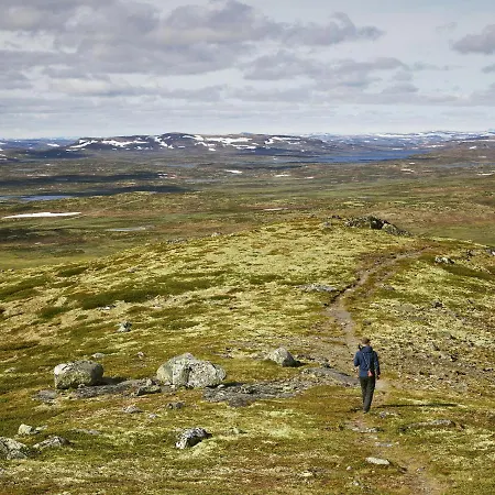Havsdalsgrenda By Interhome Daire